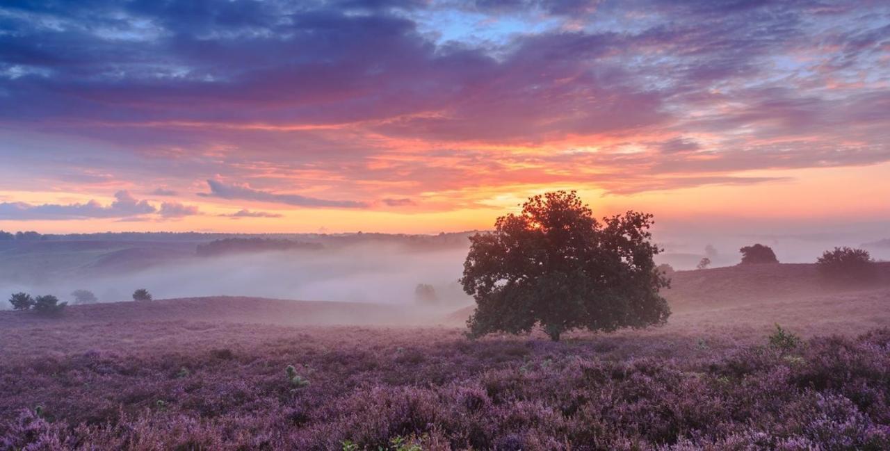 Sfeervol Chalet Op De Veluwe Putten Luaran gambar